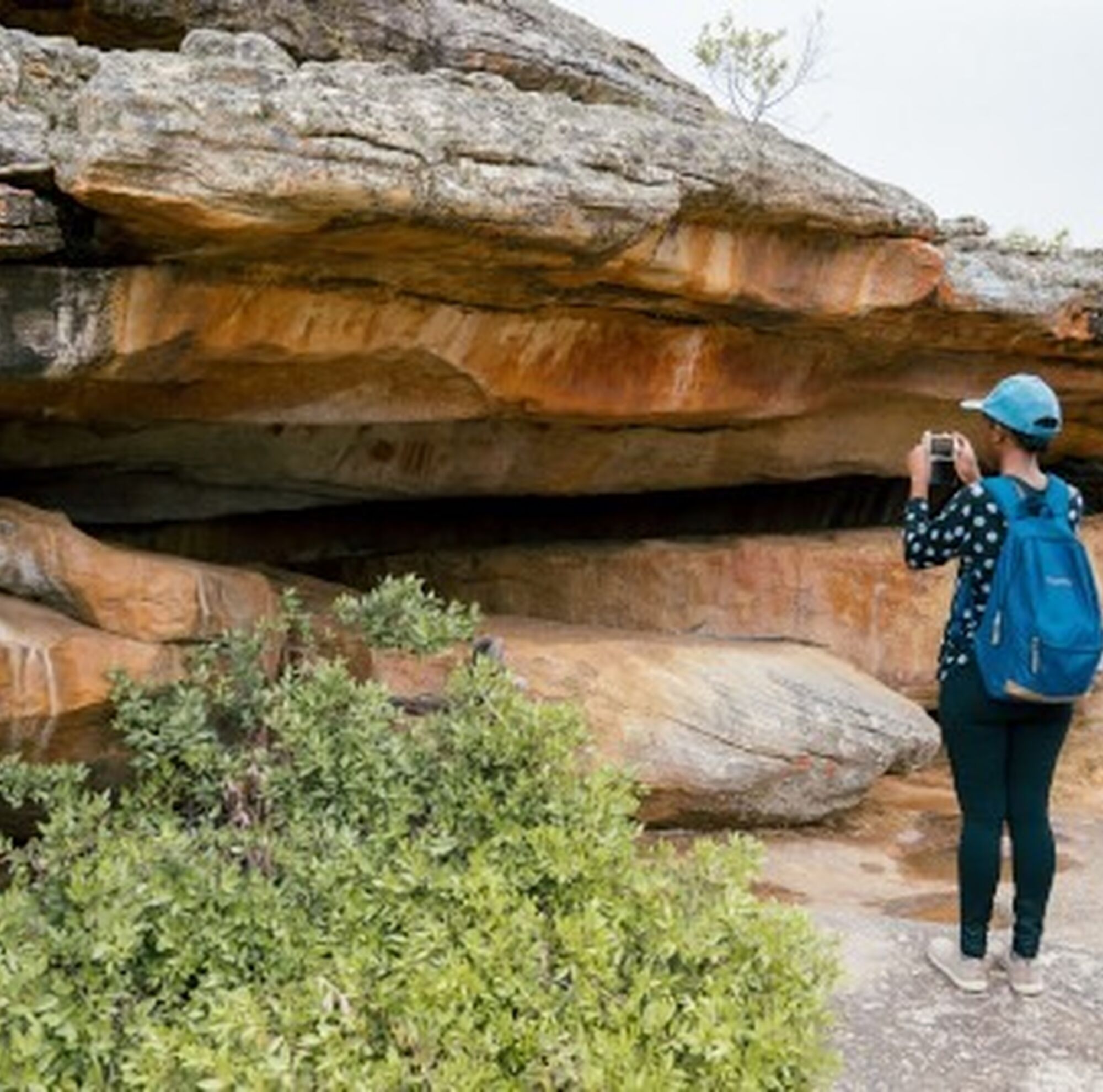 DiscoverCTWC DiscoverCTWC