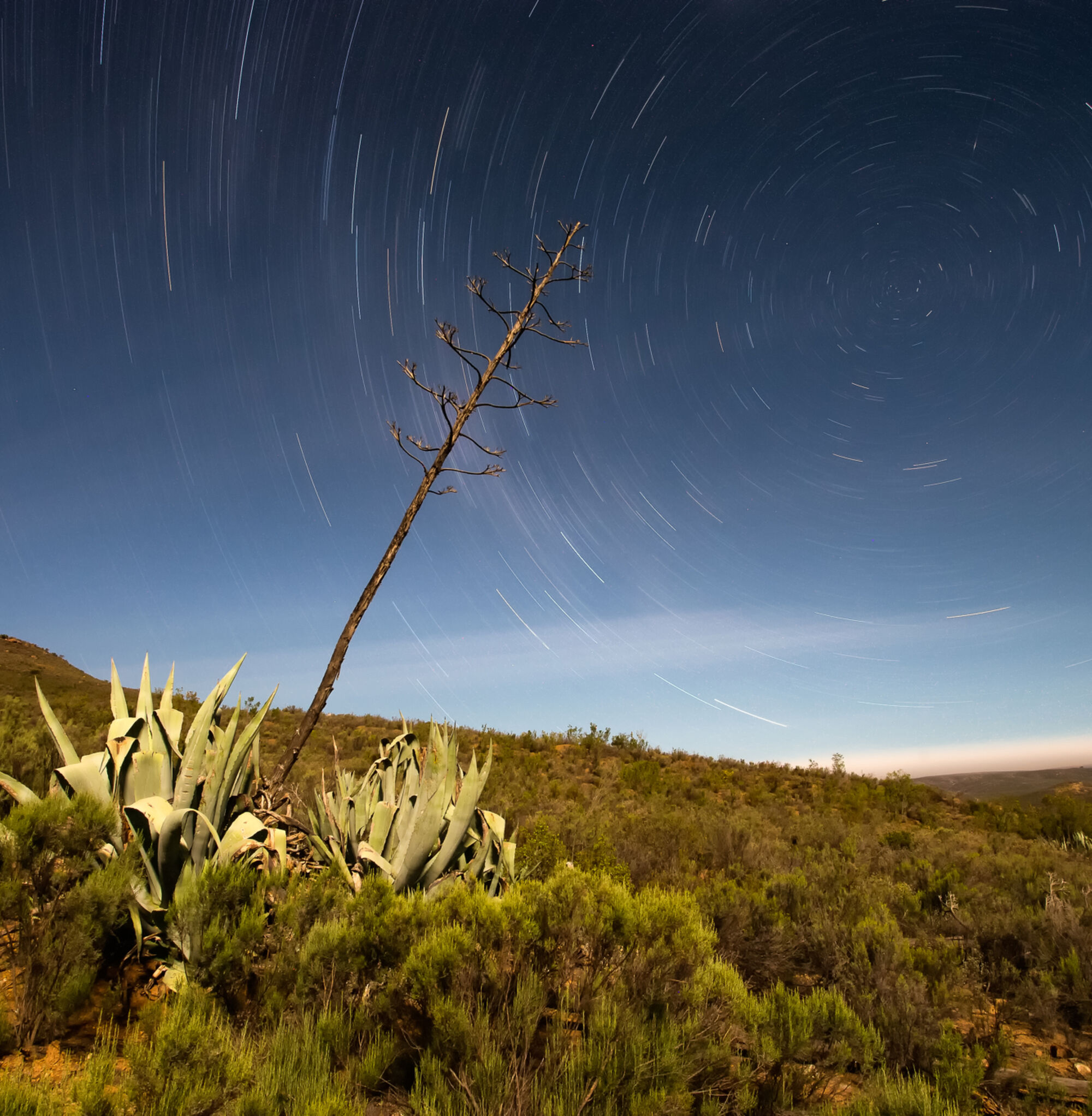 Shutterstock 1014096385