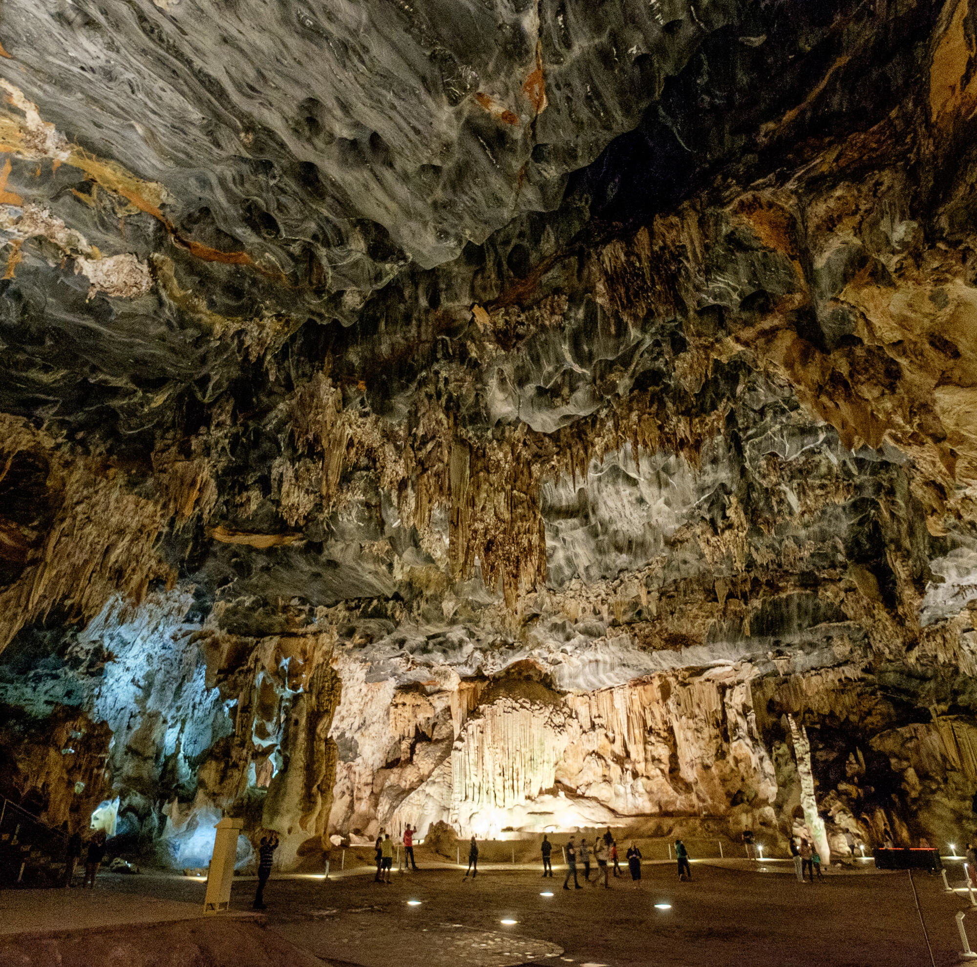 21403367584 aa77a8c530 o