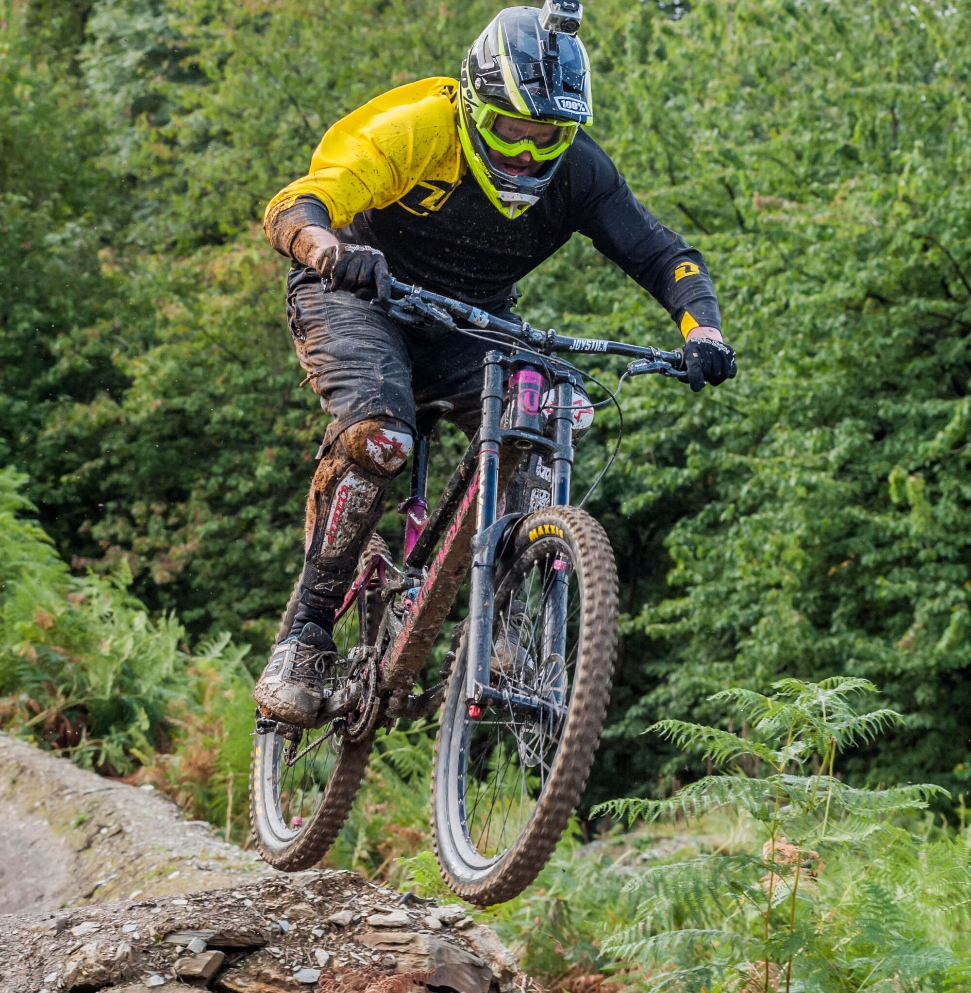 Mark northern qvk8 Q Fy Gf WA unsplash