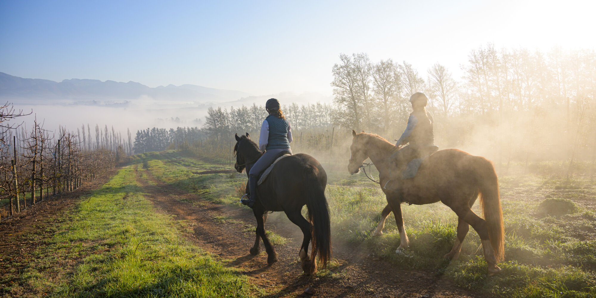 KT 200723 WESGRO Adventure Campaign 8961