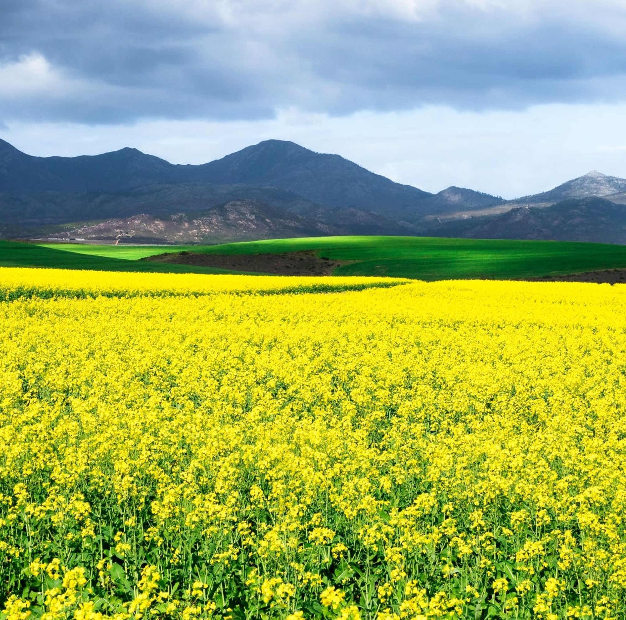 Pexels photo 4552407 Pexels photo 4552407