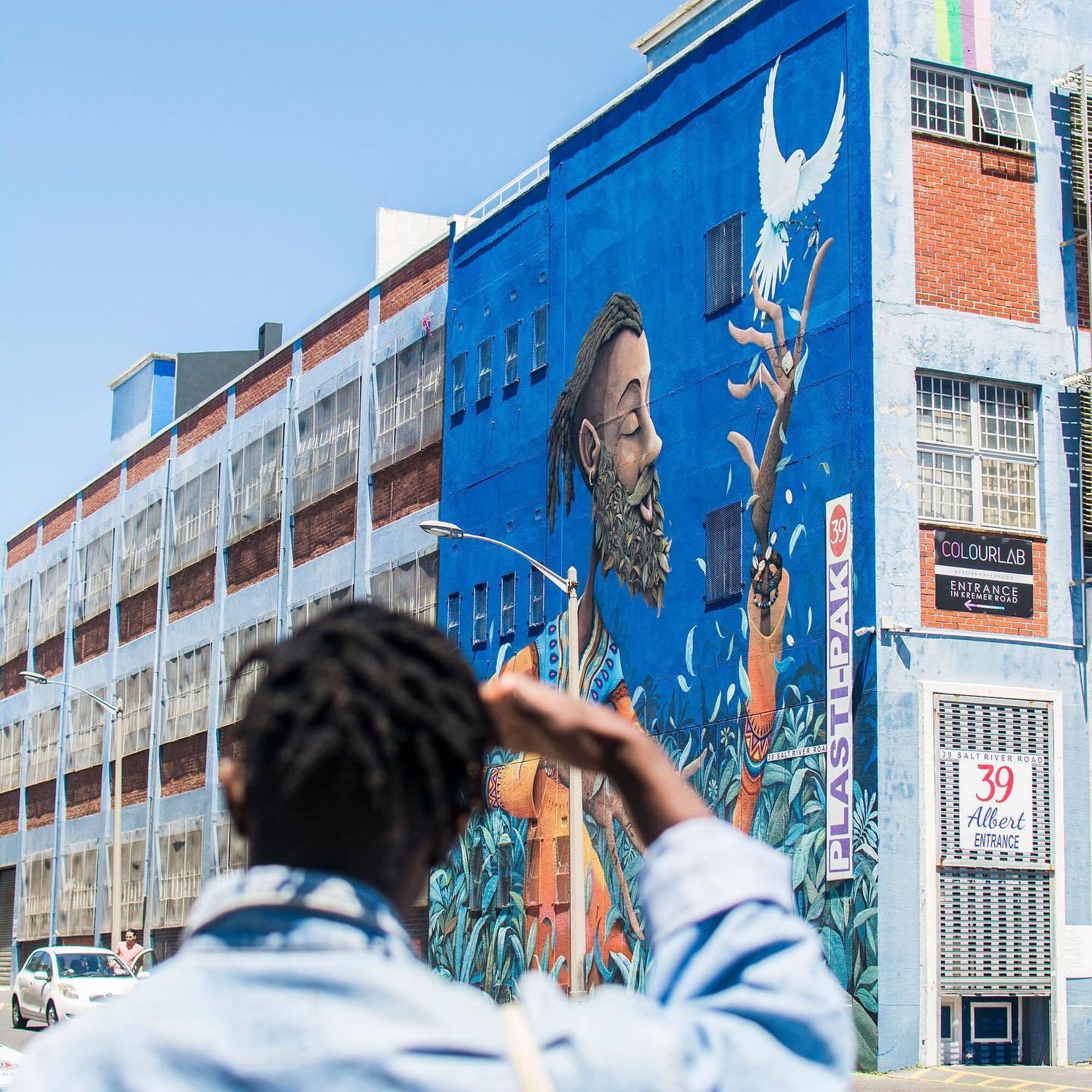 Salt River Street Art Tour image One Day Africa