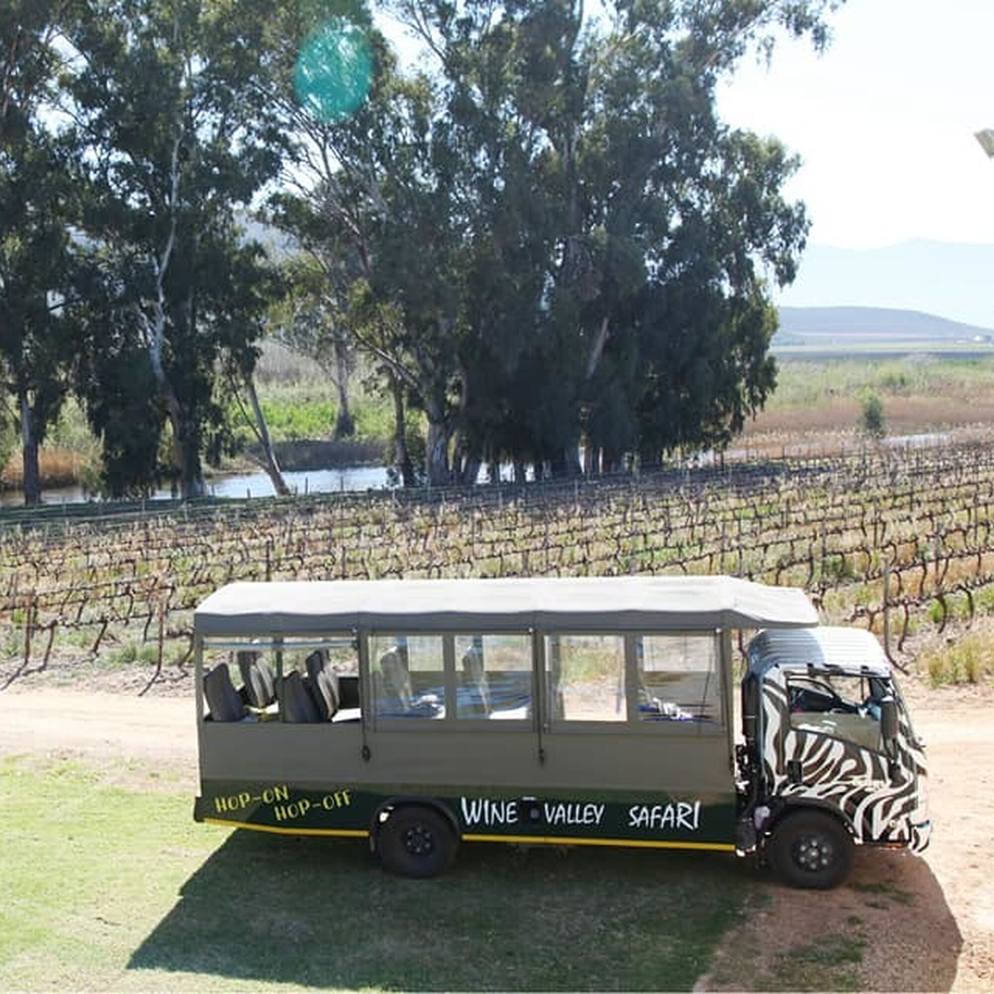 Wine Valley Safari