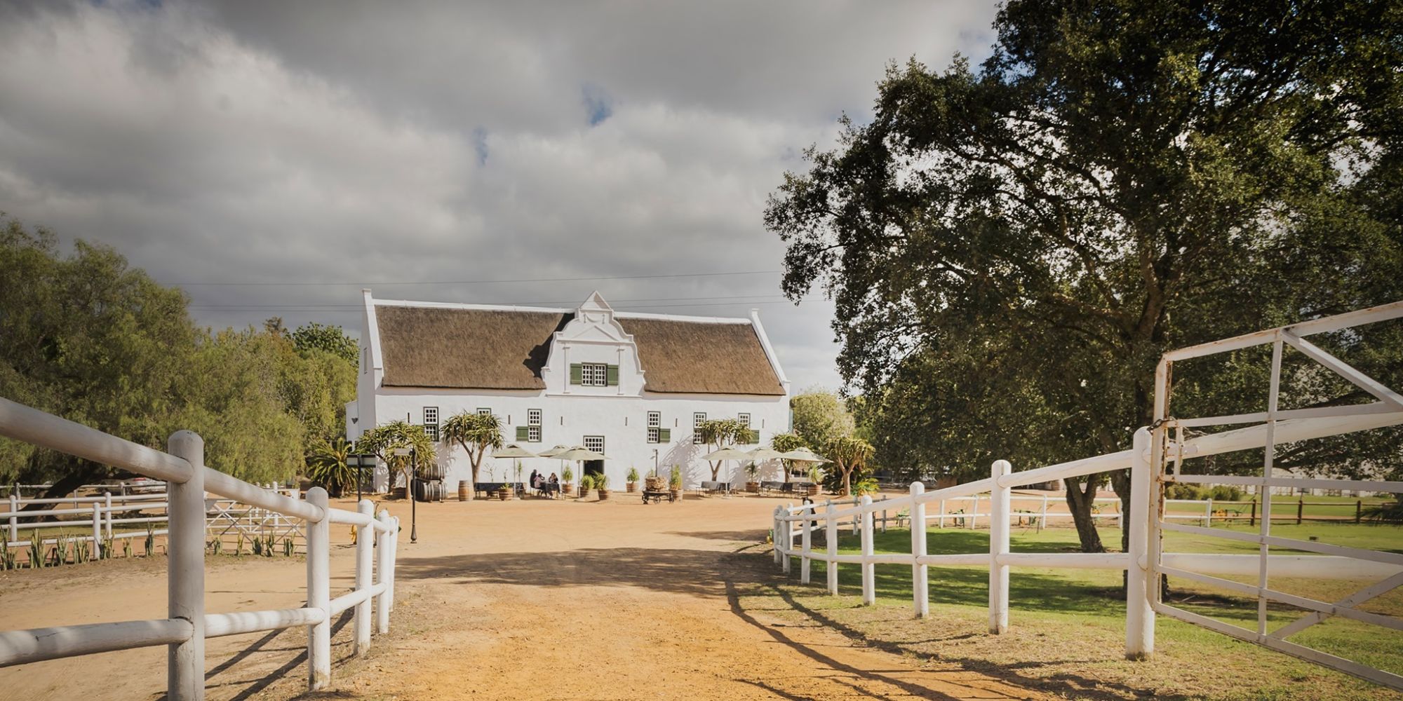 Groote Post Vineyards