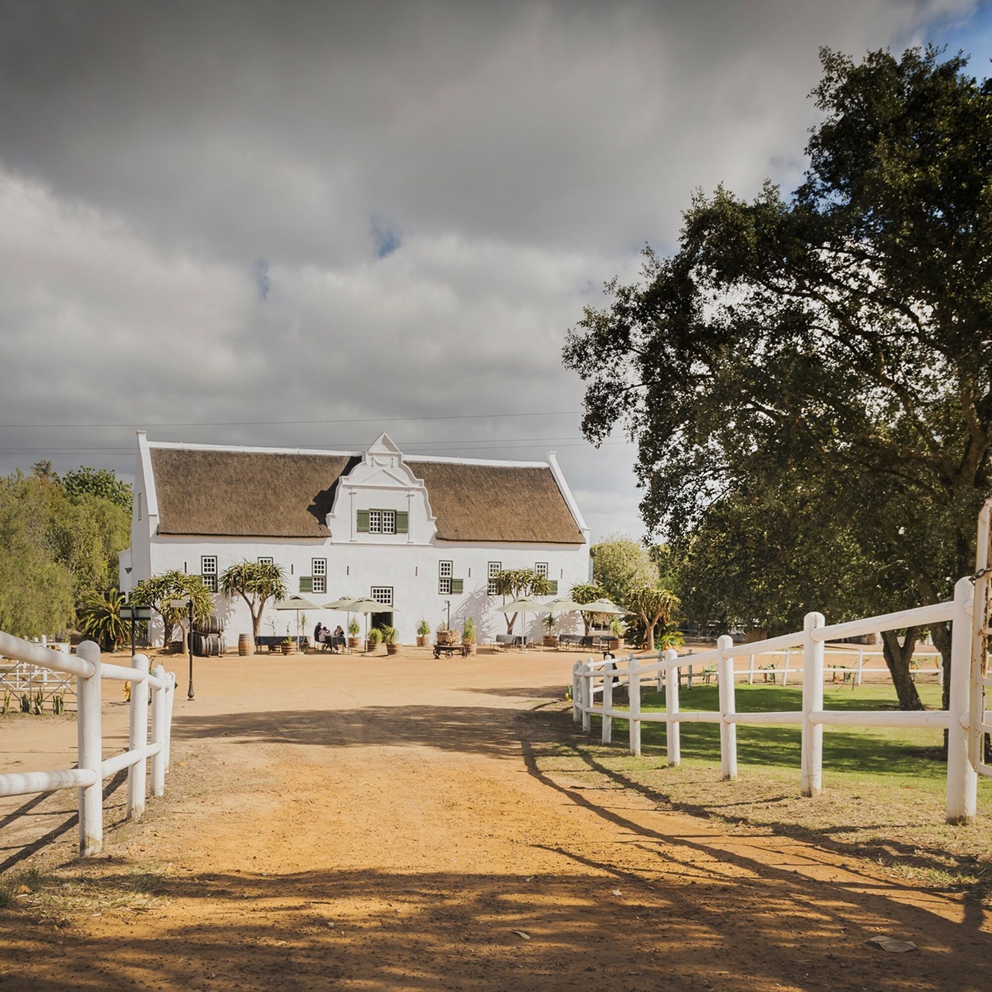 Groote Post Vineyards