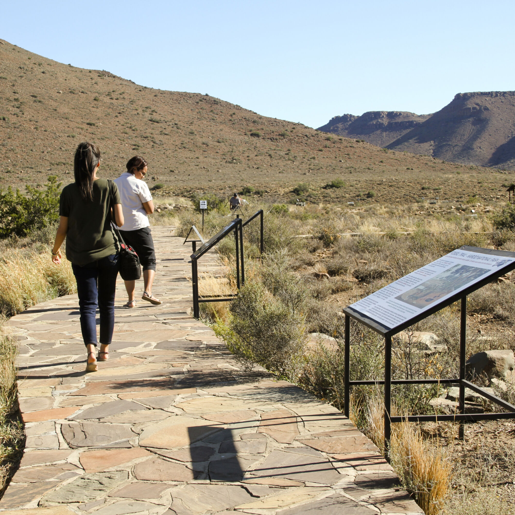 Karoo National Park 5 Karoo National Park 5