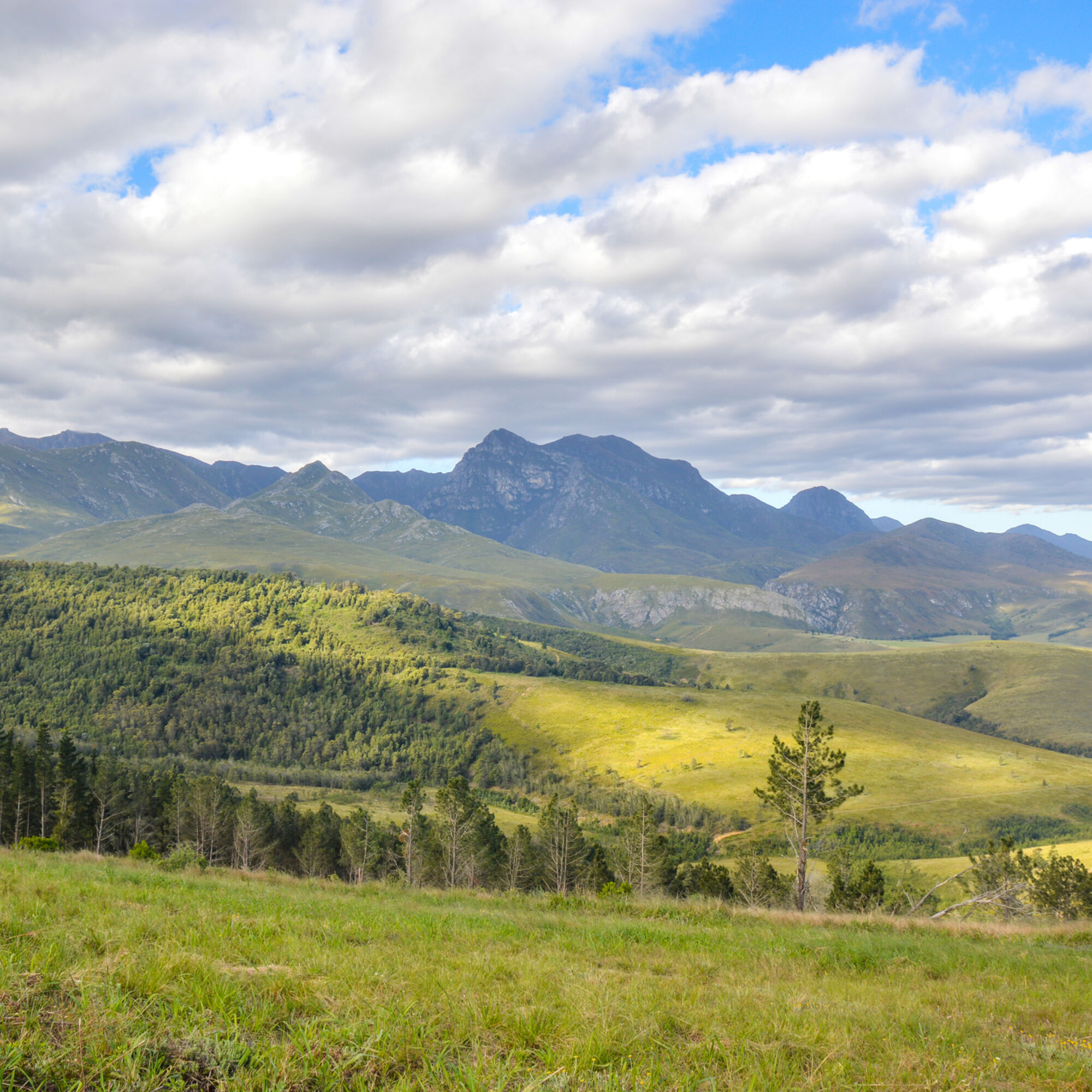 Heidelberg Langeberg Mountain