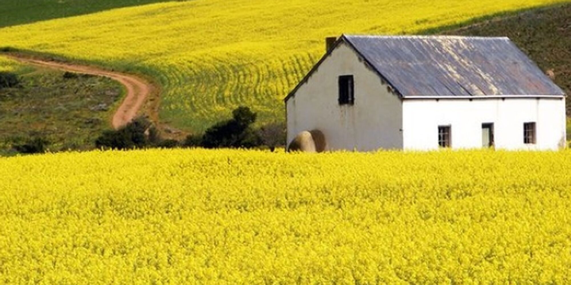 Screen shot 2013 04 10 at 17 05 47 591x300