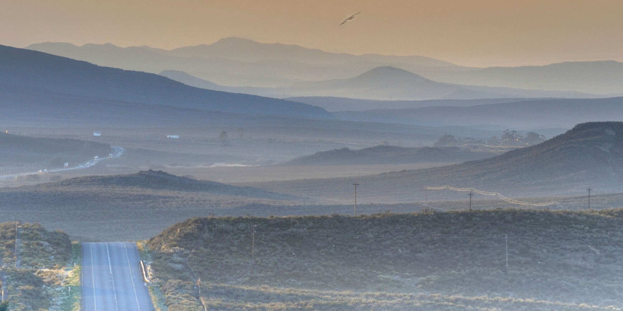 Shutterstock 1461516338 Shutterstock 1461516338