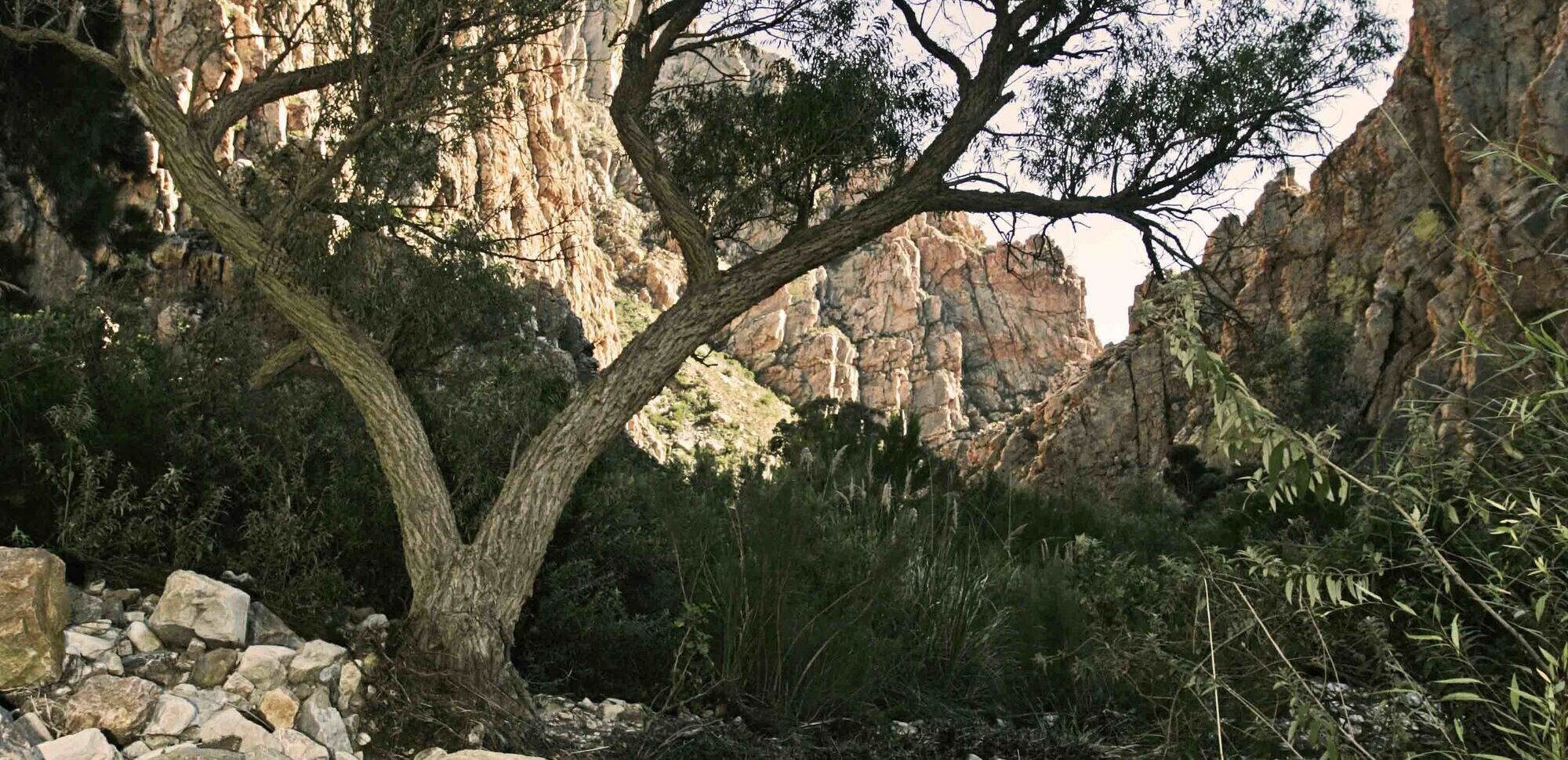 Princealbertza Princealbertza