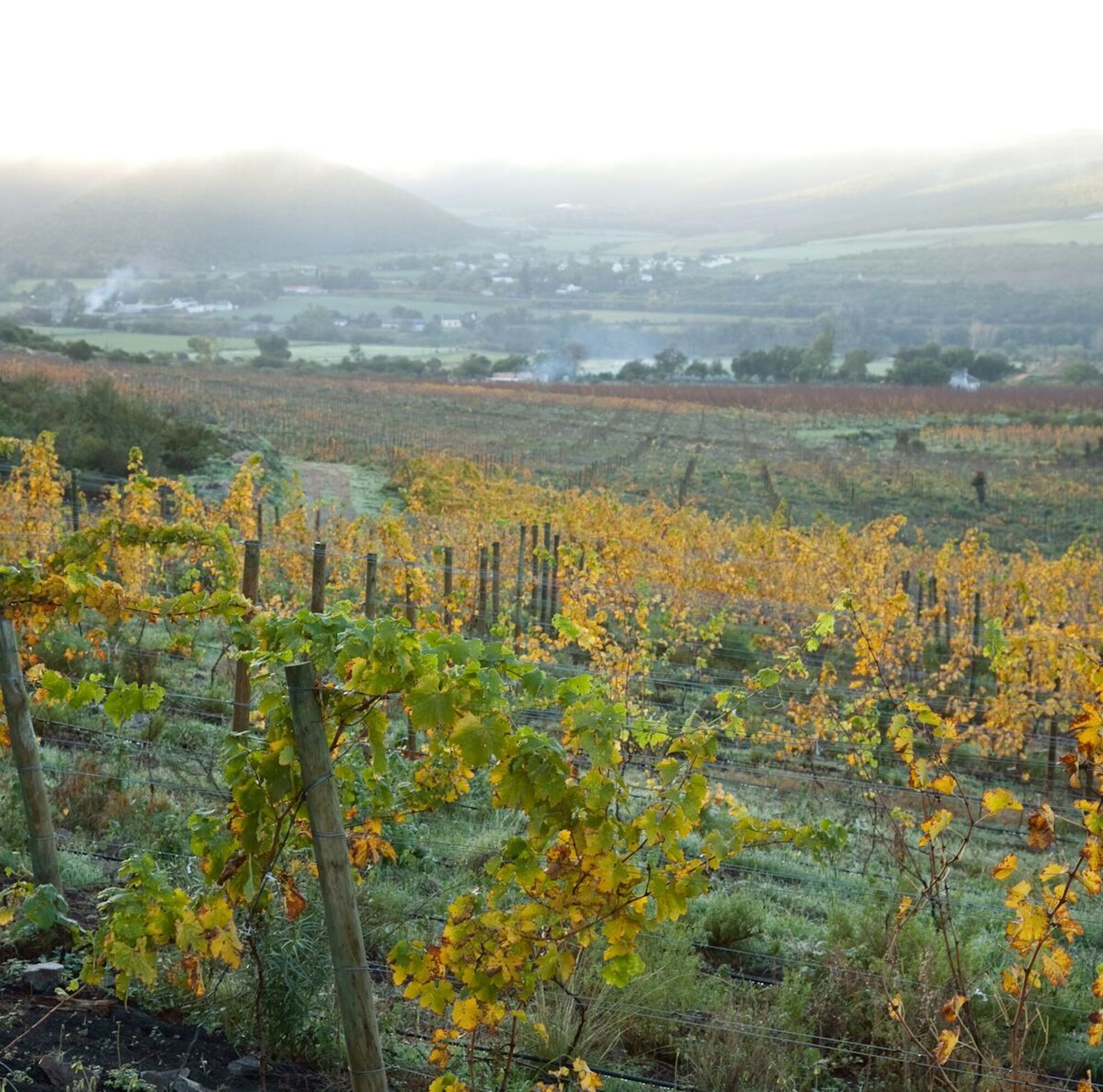 Unt4 V3 IM jpeg Unt4 V3 IM jpeg