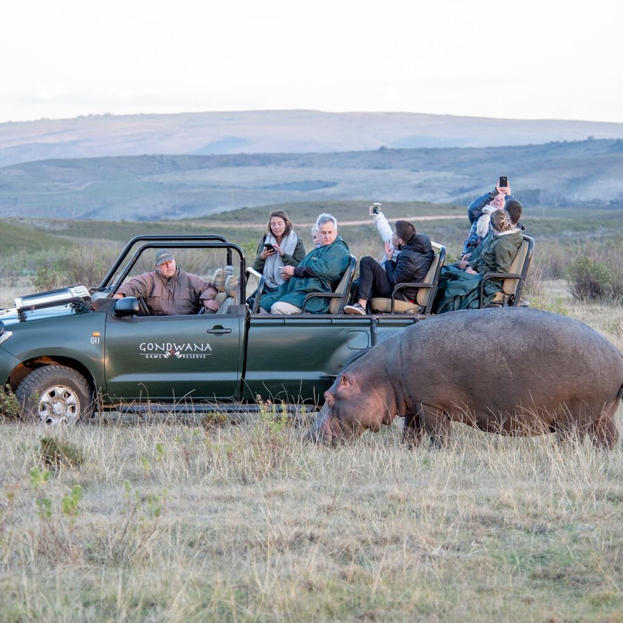 Gondwana Game Drive 7