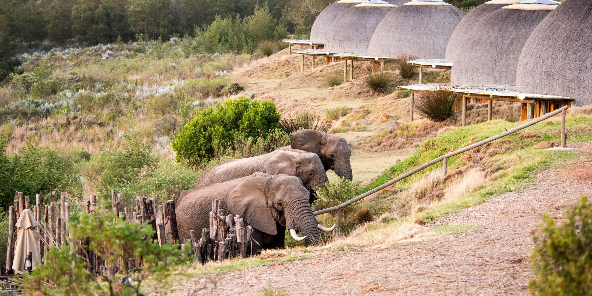 Gondwana Kwena Lodge 5