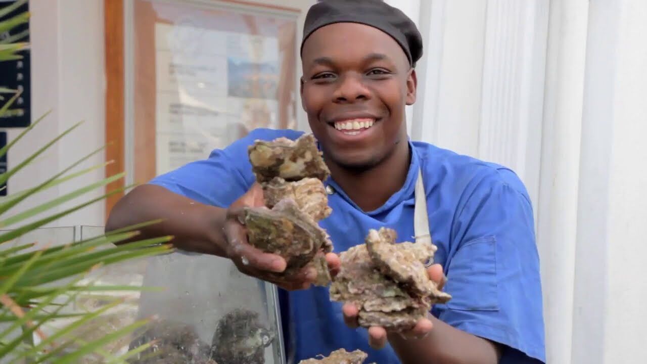 Invest in Agribusiness Cape Town & the Western Cape Invest in Agribusiness Cape Town & the Western Cape