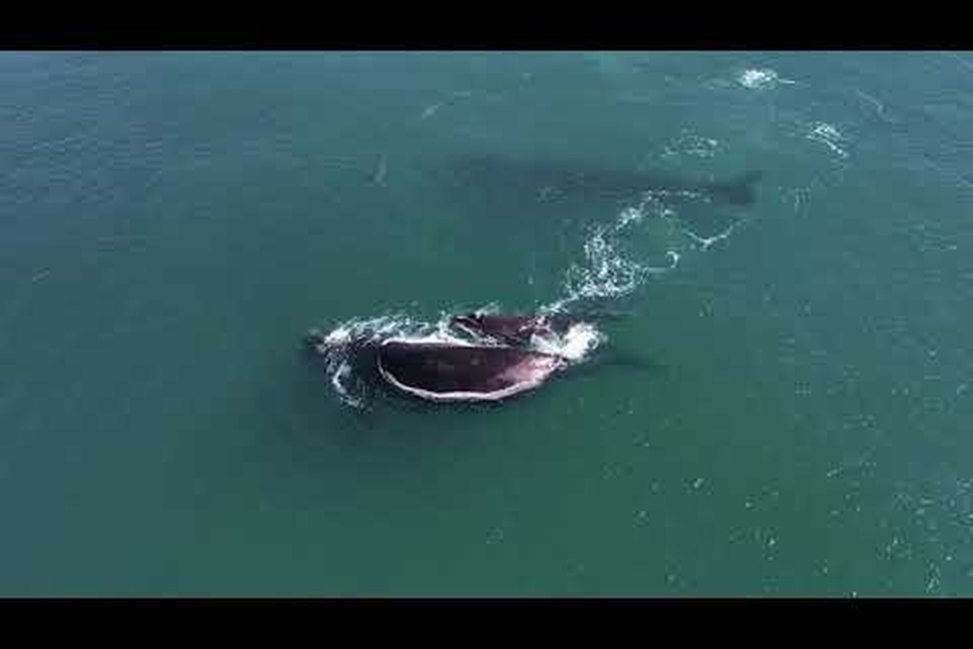 Find your next adventure in the Garden Route and Klein Karoo Find your next adventure in the Garden Route and Klein Karoo