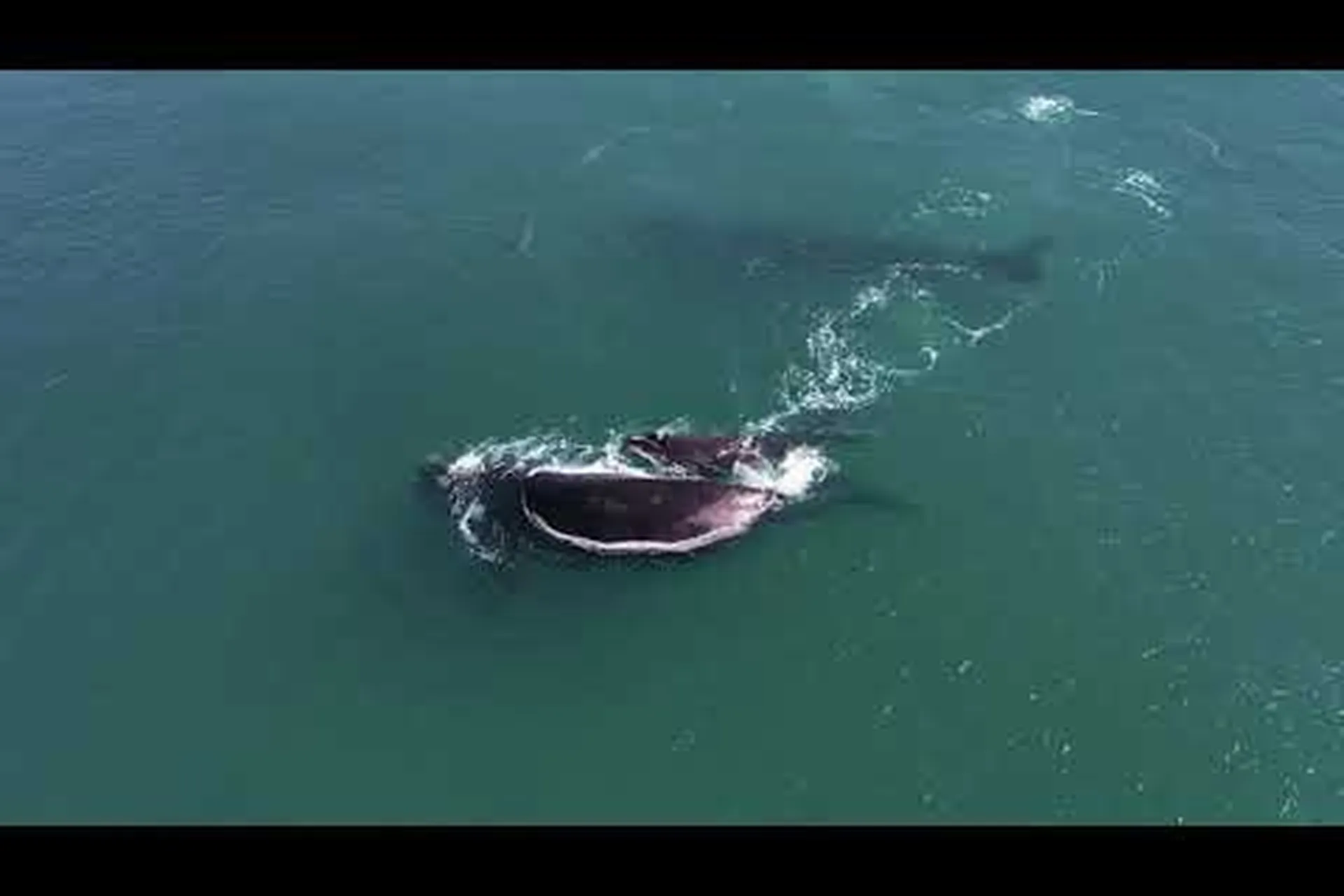 Find your next adventure in the Garden Route and Klein Karoo Find your next adventure in the Garden Route and Klein Karoo