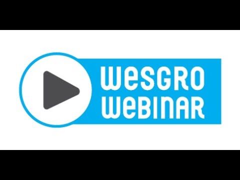 Annecy Online Festival and Market Upskilling Annecy Online Festival and Market Upskilling