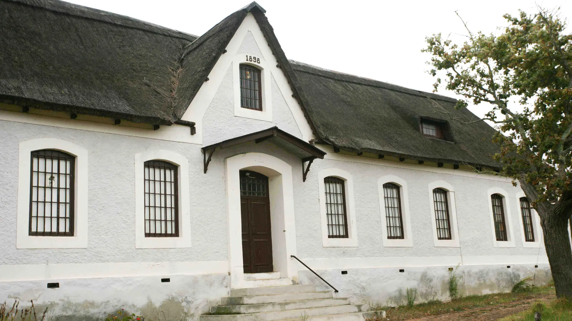 Image Title Image Title