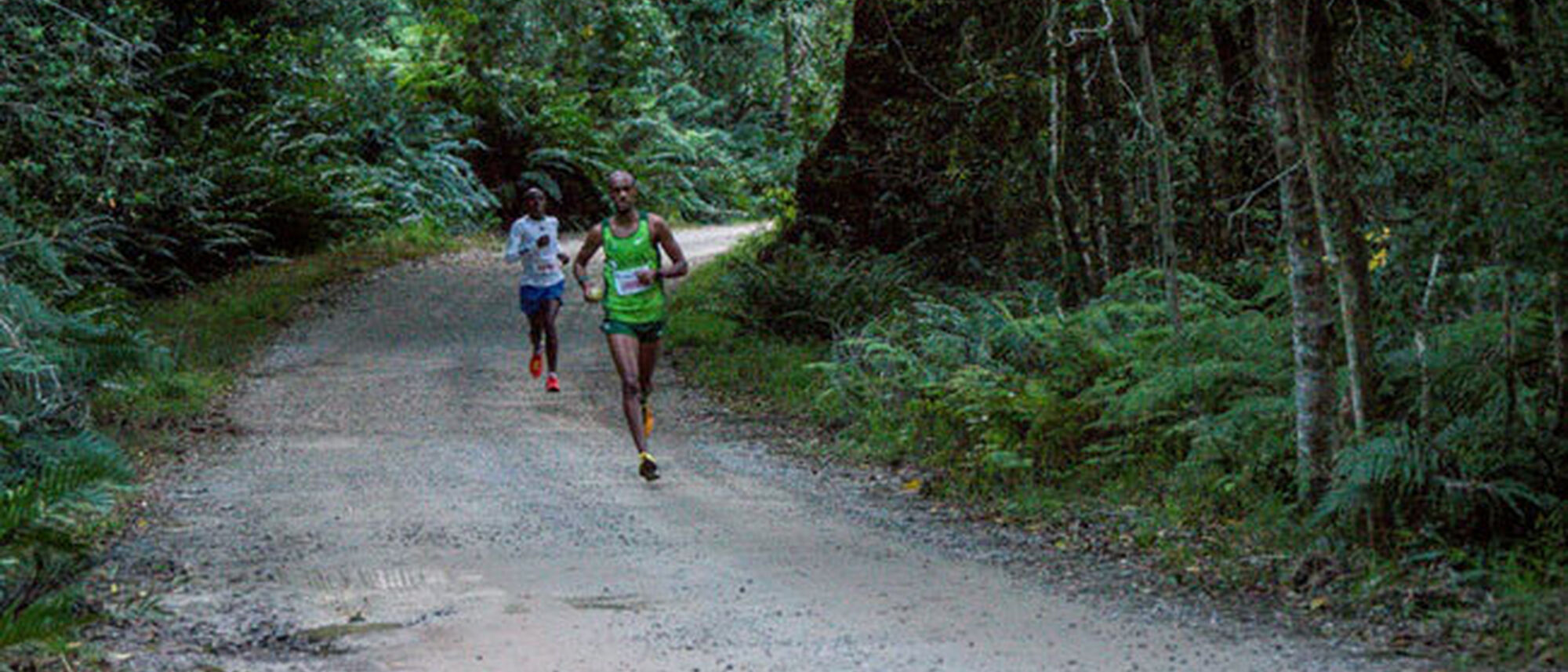 Image Title Image Title