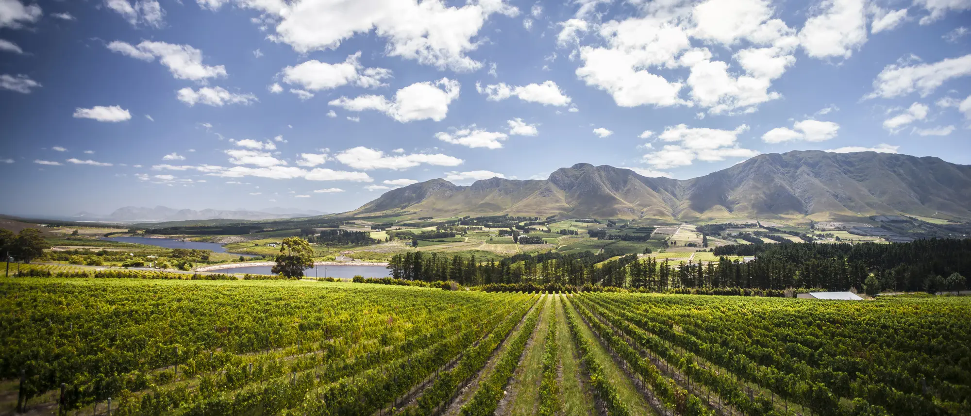 Image Title Image Title