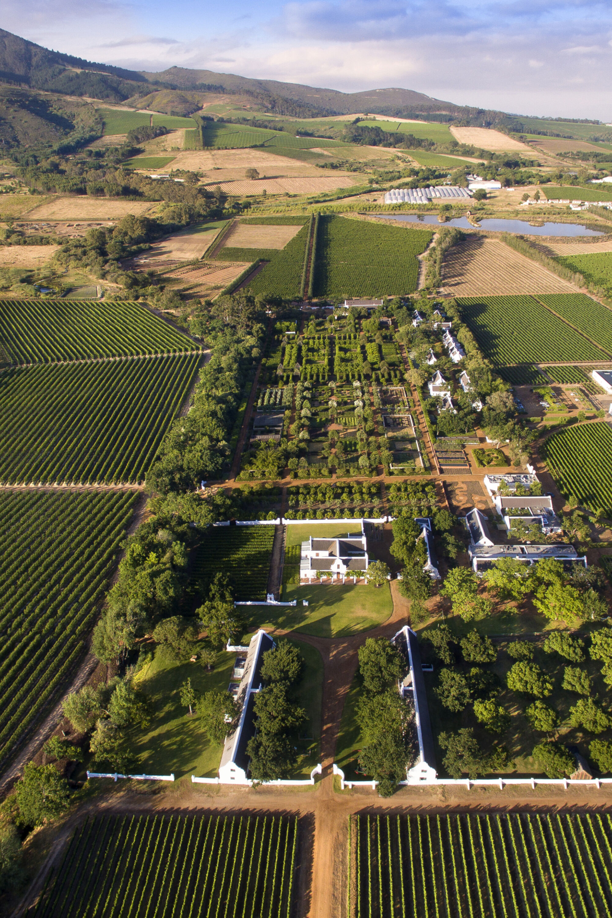 Image Title Image Title