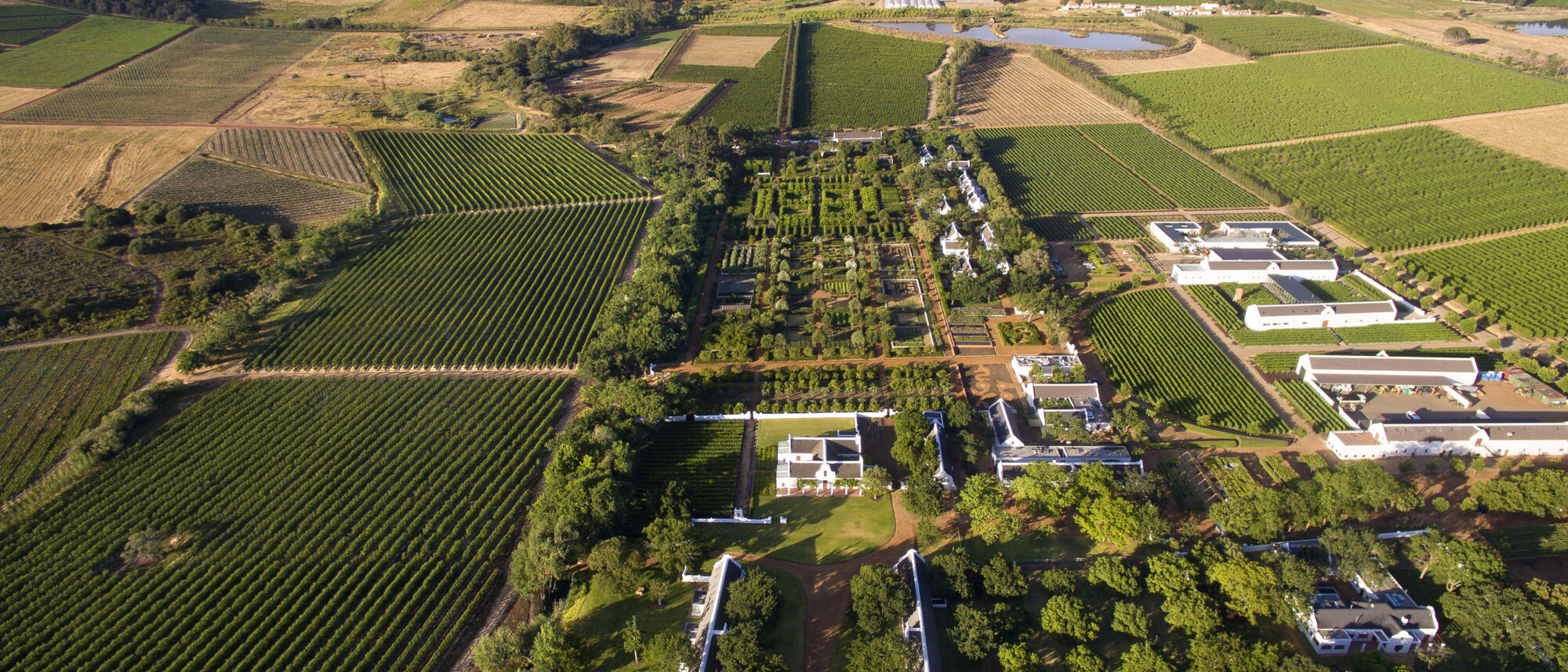 Image Title Image Title