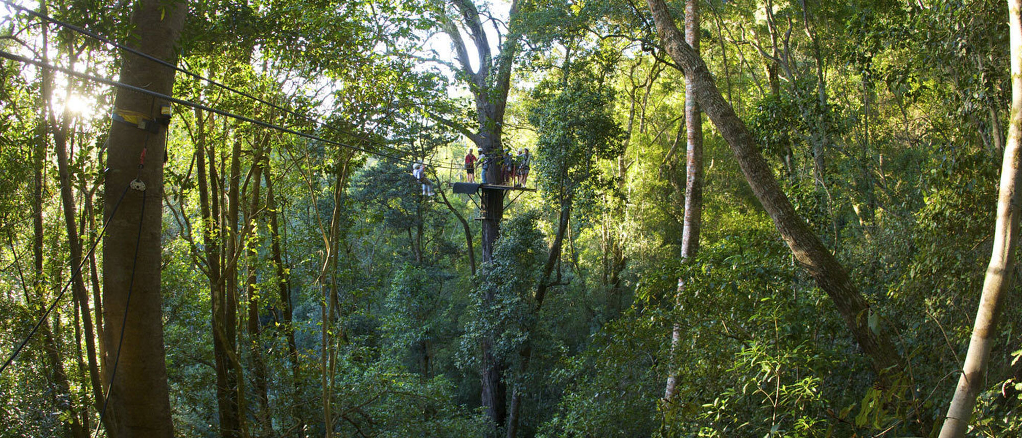 Image Title Image Title