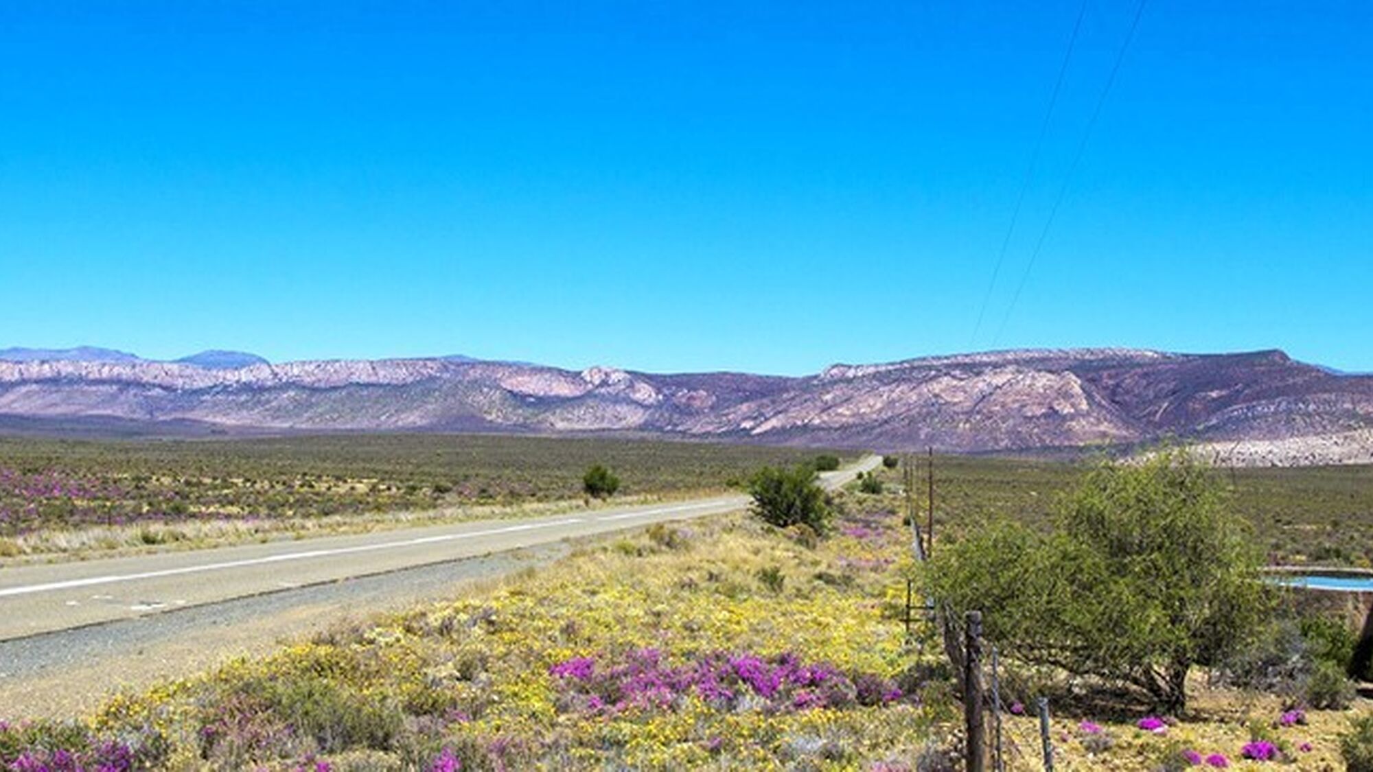 Image Title Image Title