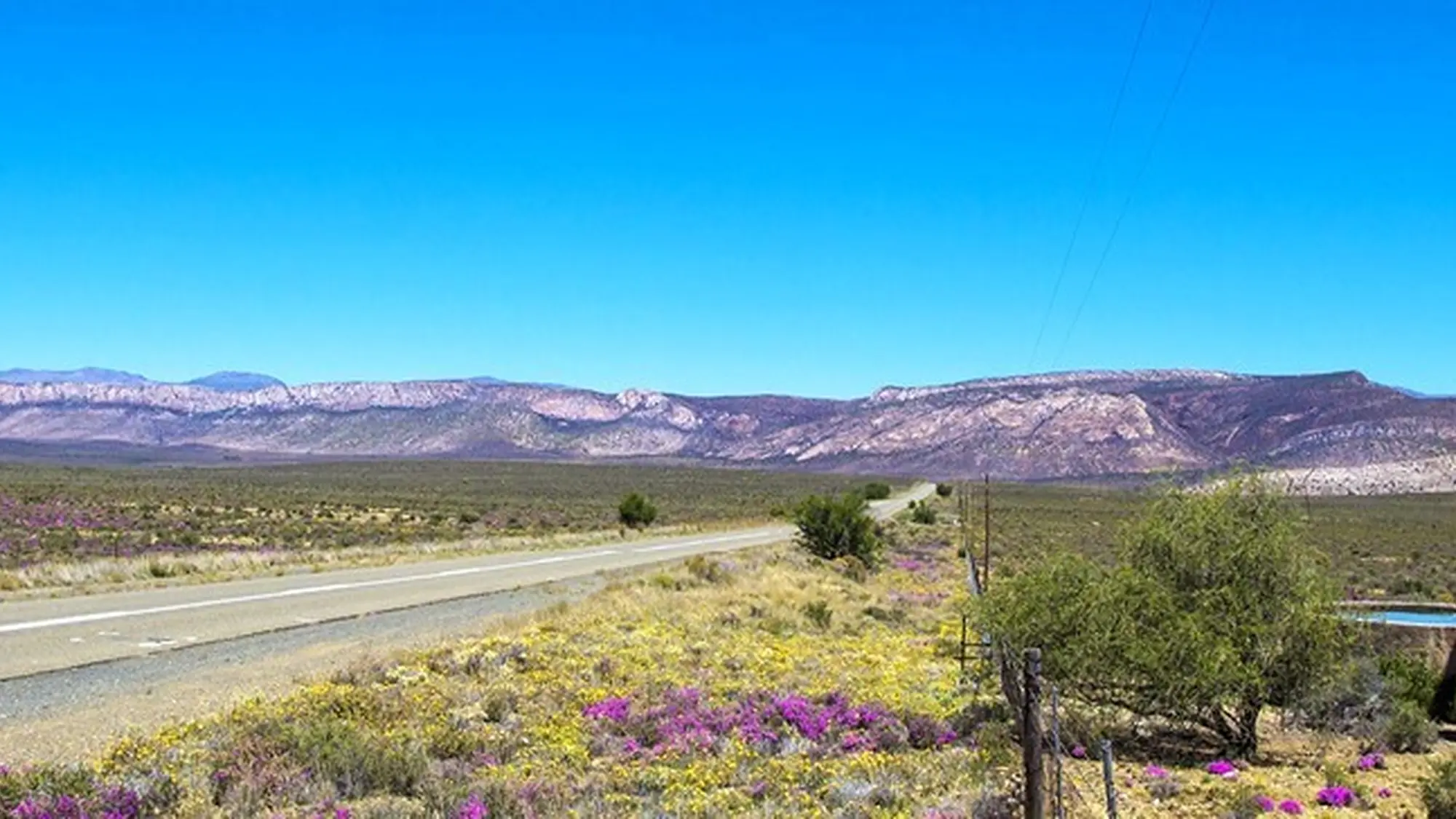 Image Title Image Title