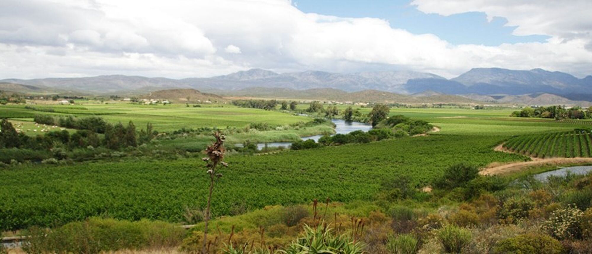 Image Title Image Title