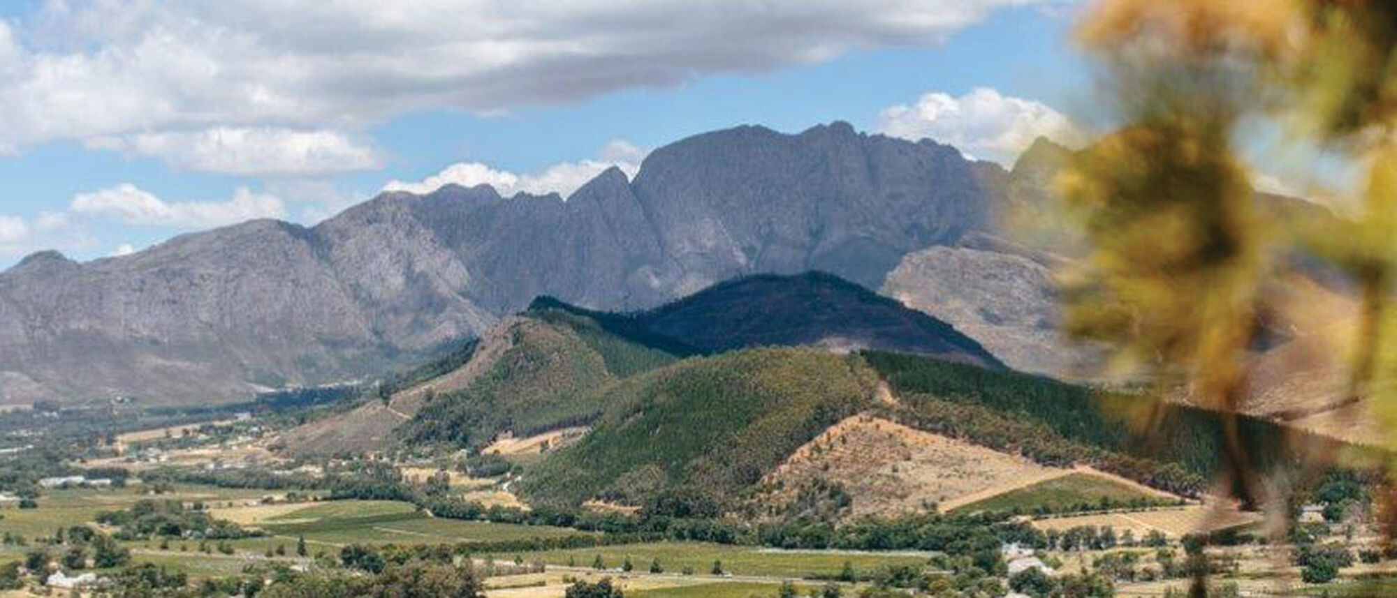 Image Title Image Title