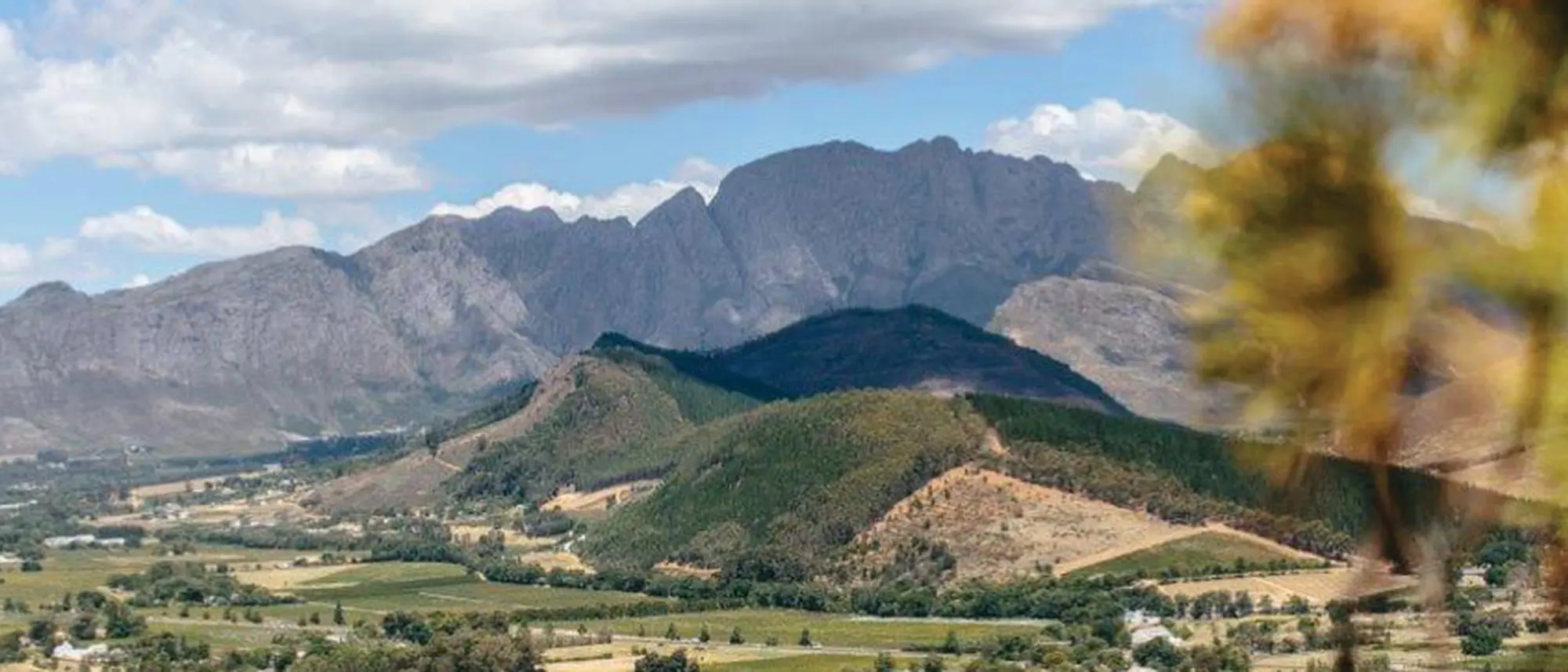 Image Title Image Title