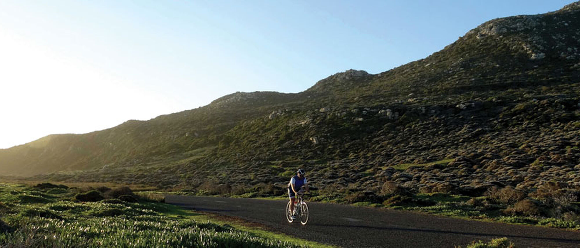 Image Title Image Title