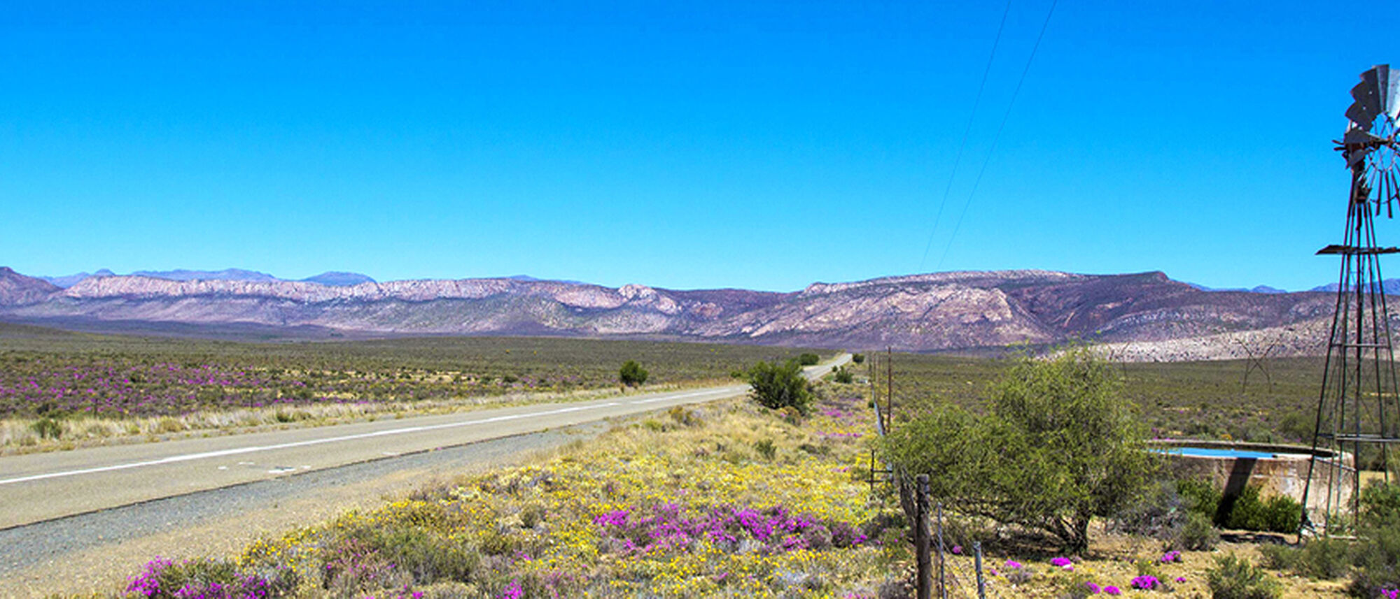 Image Title Image Title