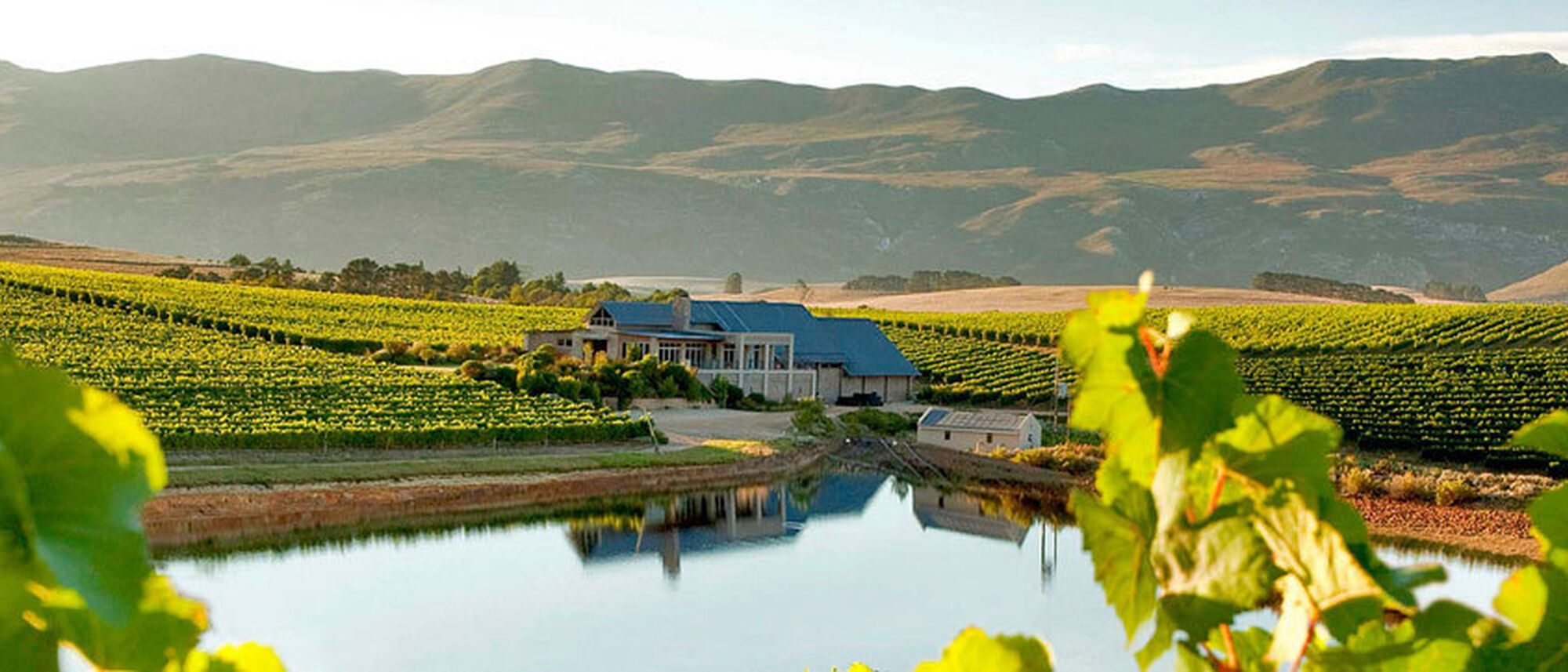 Image Title Image Title