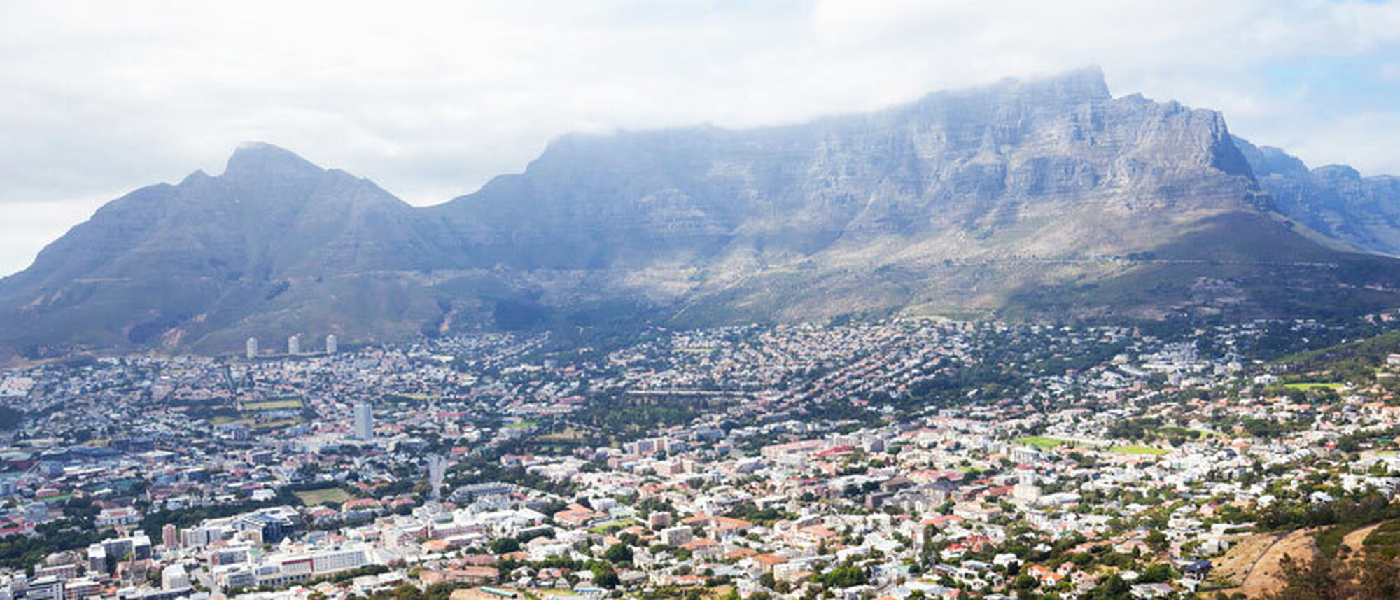 Image Title Image Title