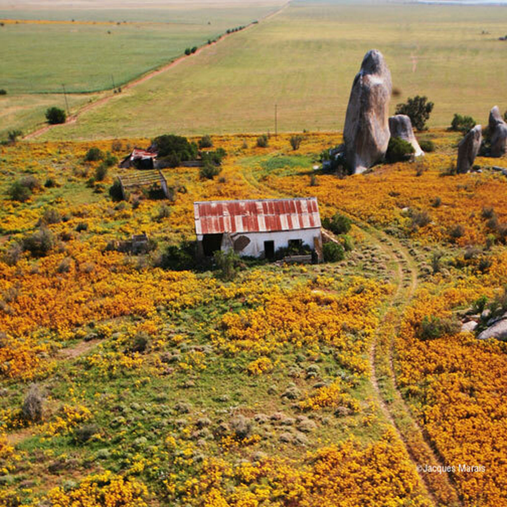 1473431589092 E Jl S Bw2is 1473431589092 E Jl S Bw2is