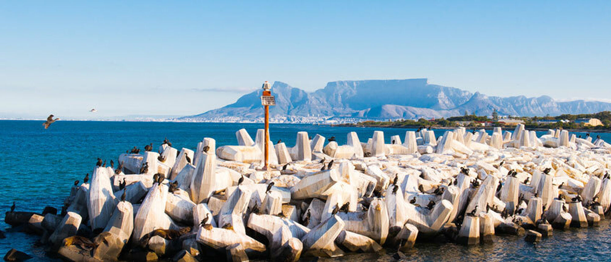 Image Title Image Title