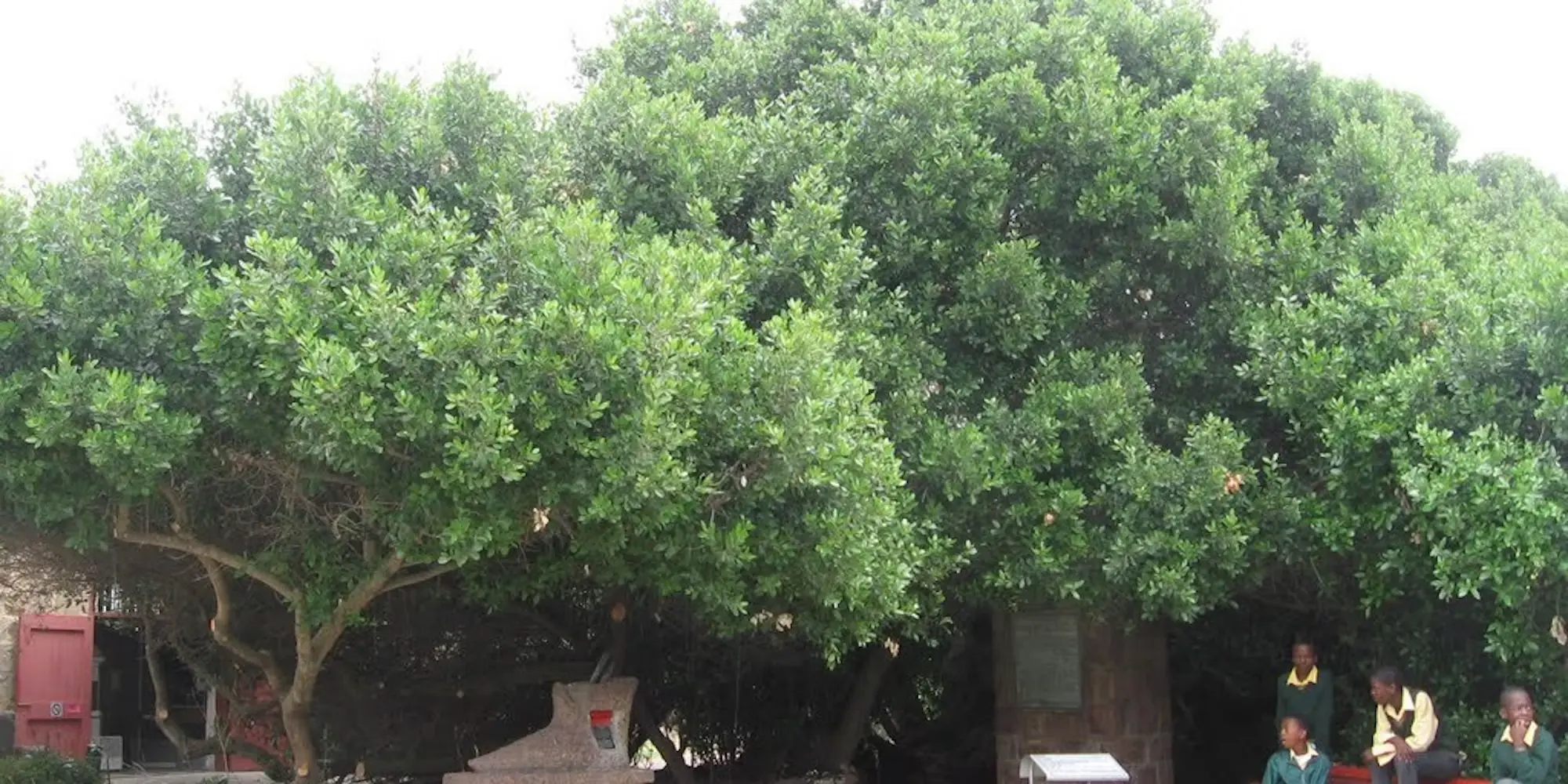 1479984717377 4ye Rvr2k Gz 1479984717377 4ye Rvr2k Gz