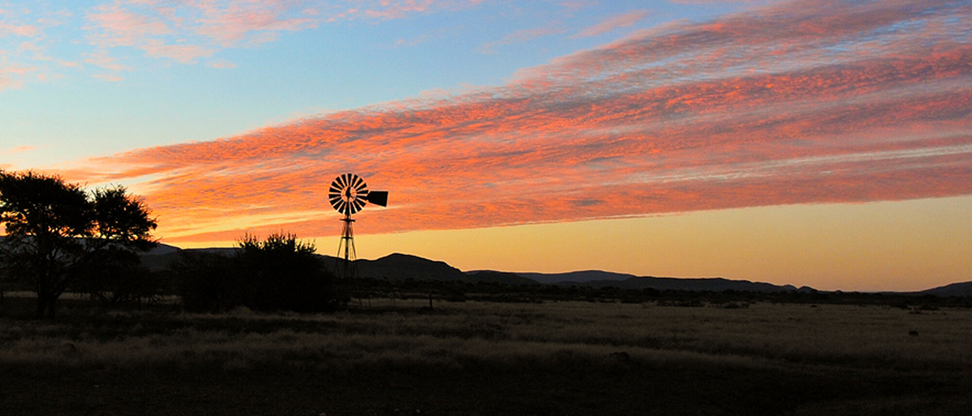 Image Title Image Title