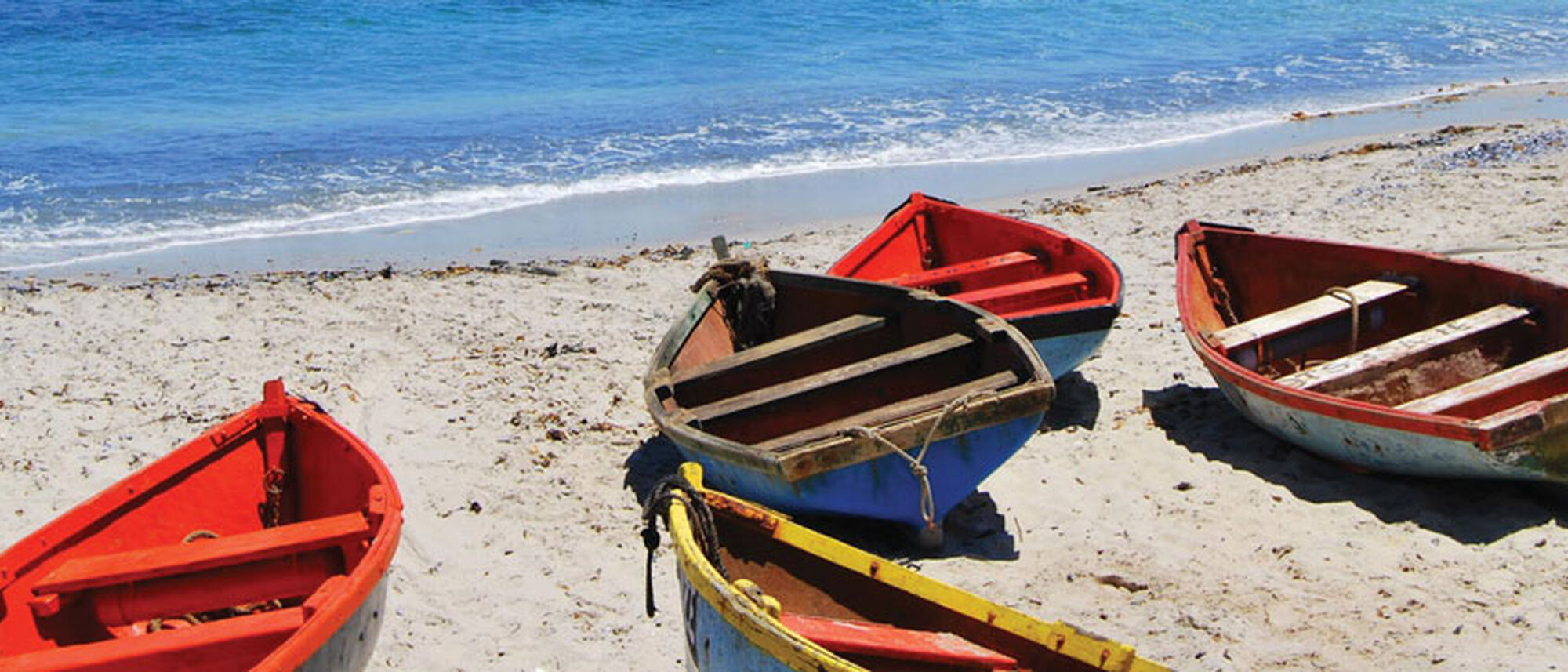 Image Title Image Title