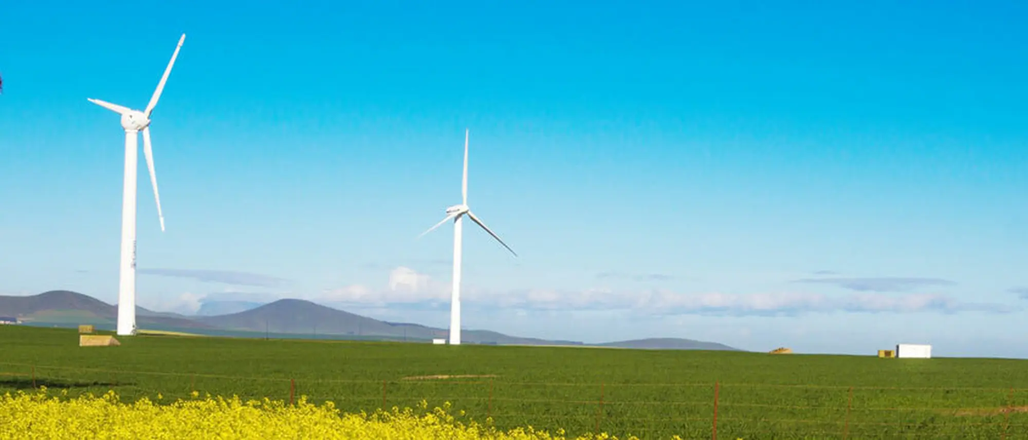 Image Title Image Title