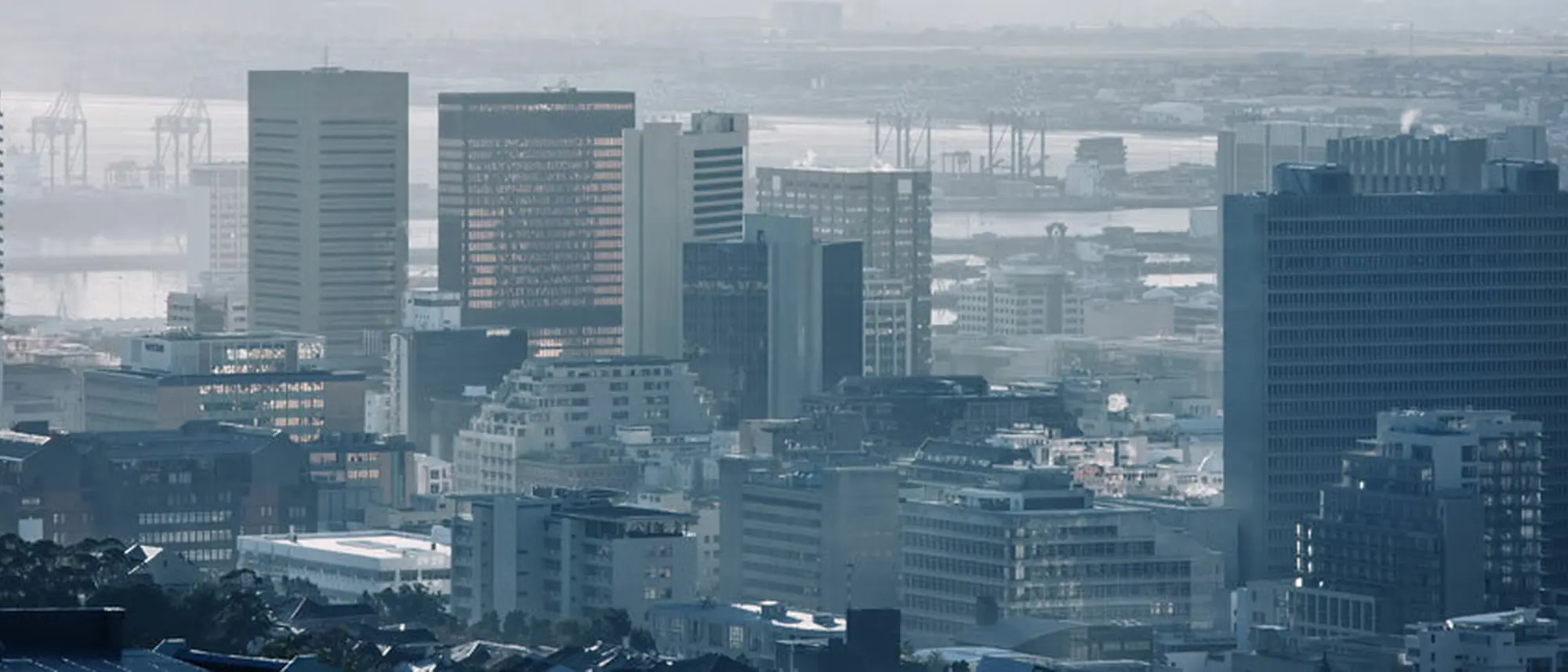 Image Title Image Title