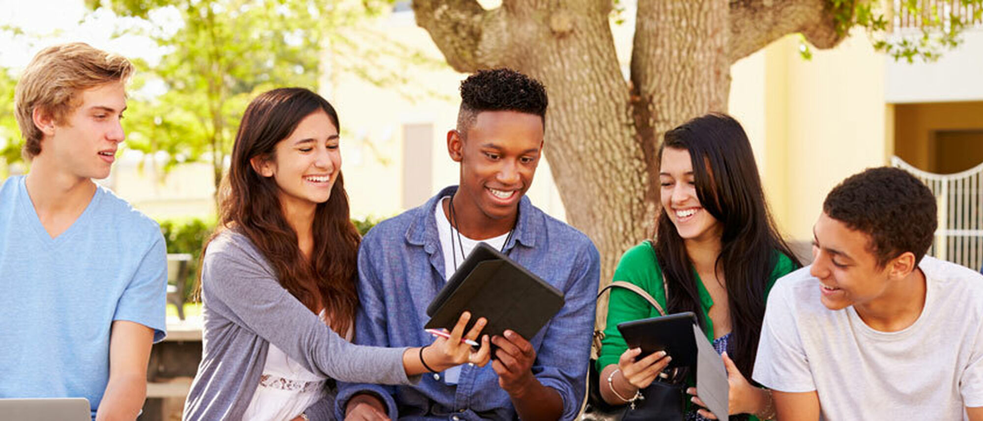 Image Title Image Title