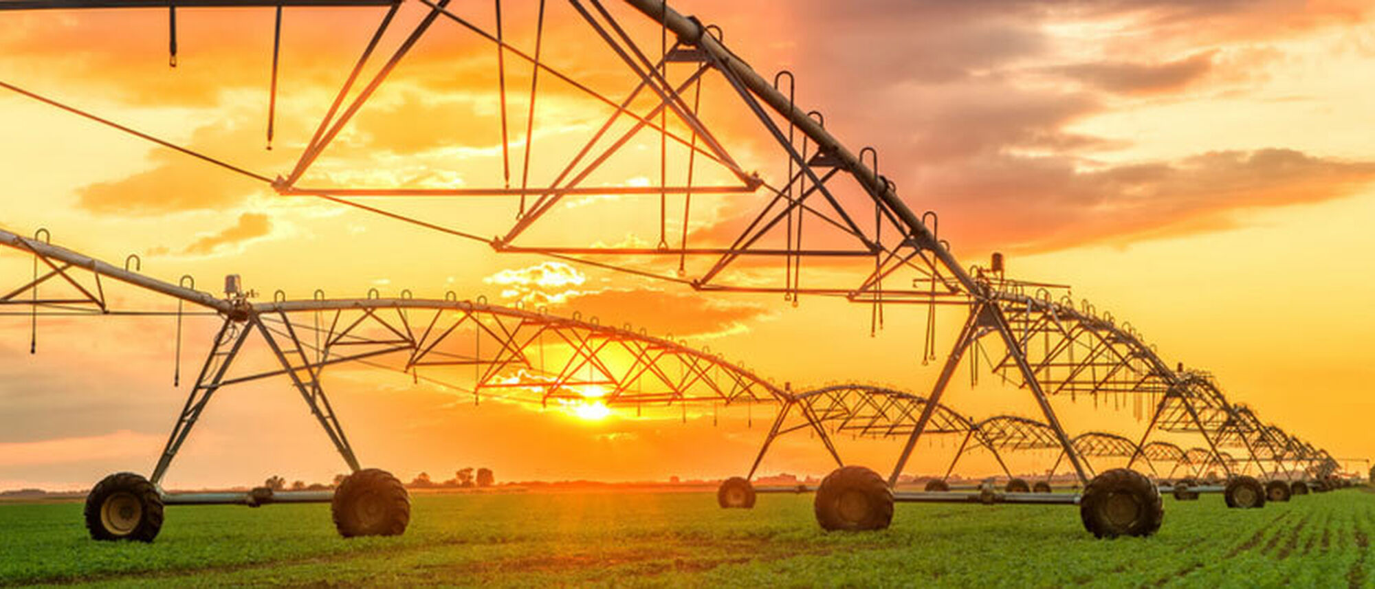 Image Title Image Title