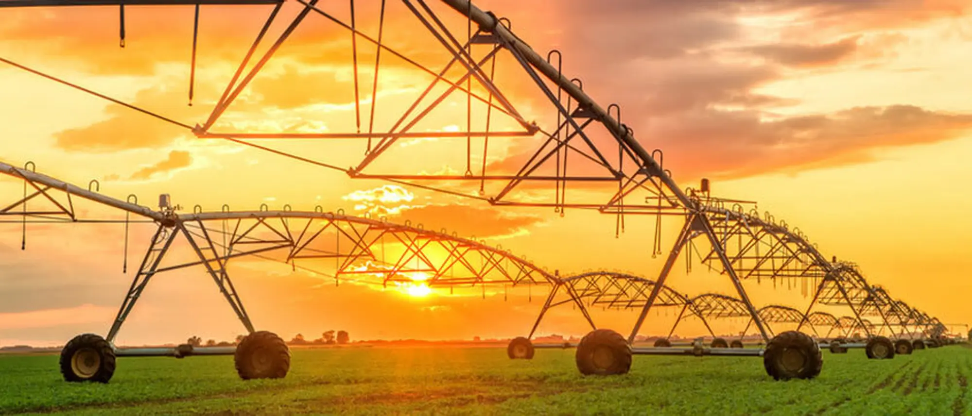 Image Title Image Title