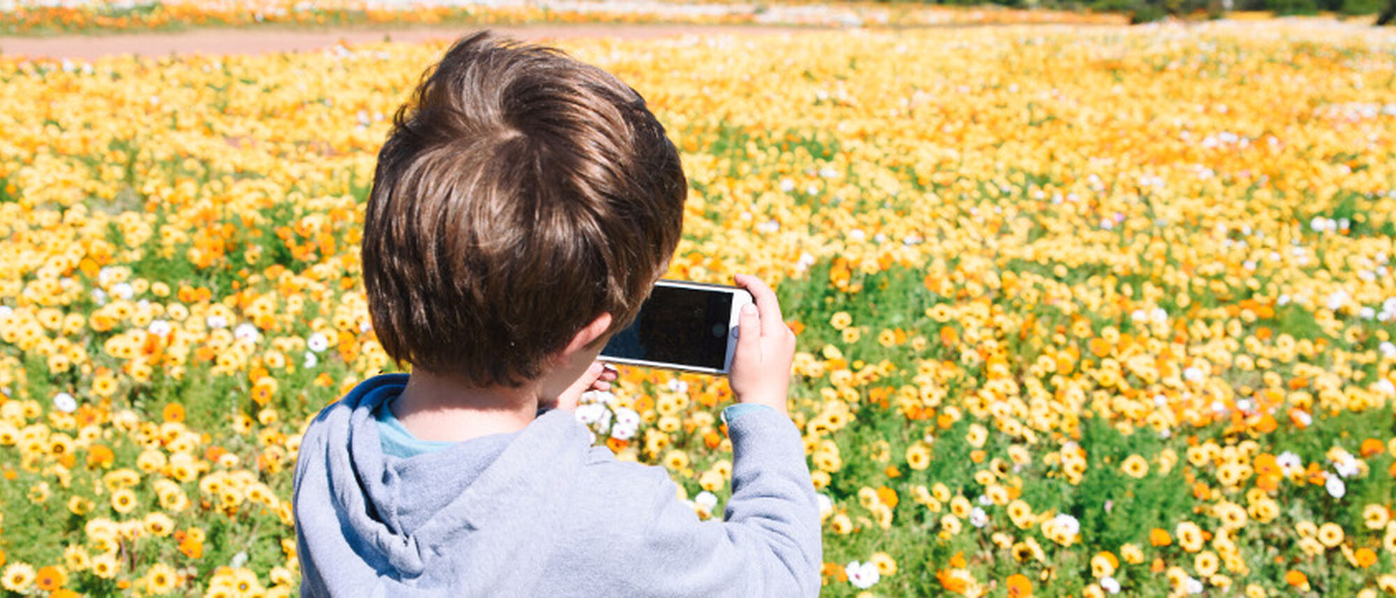 Image Title Image Title