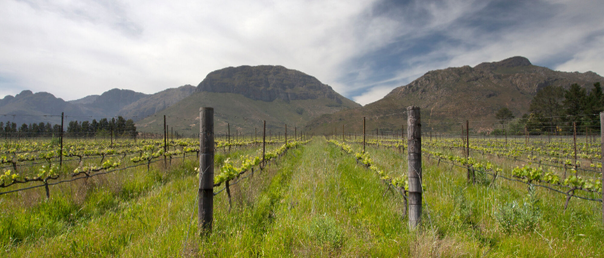 Image Title Image Title