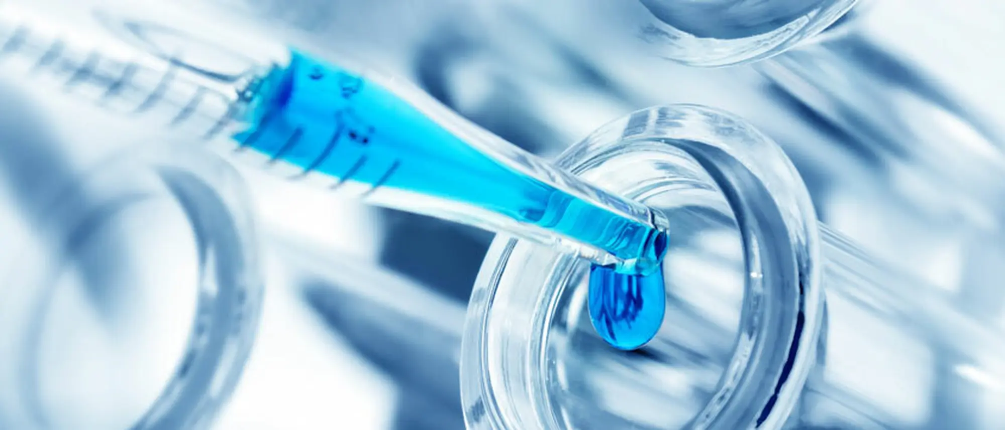 Image Title Image Title